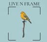 live n frame